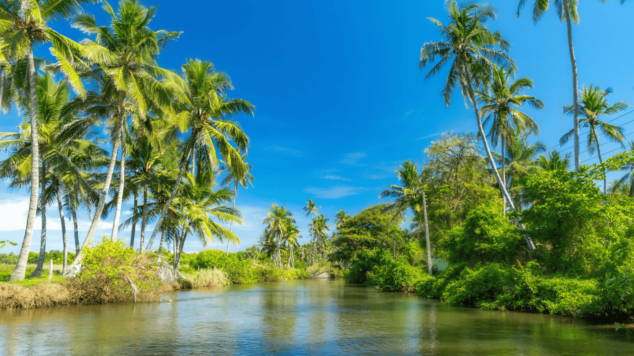 Untitled design (11)