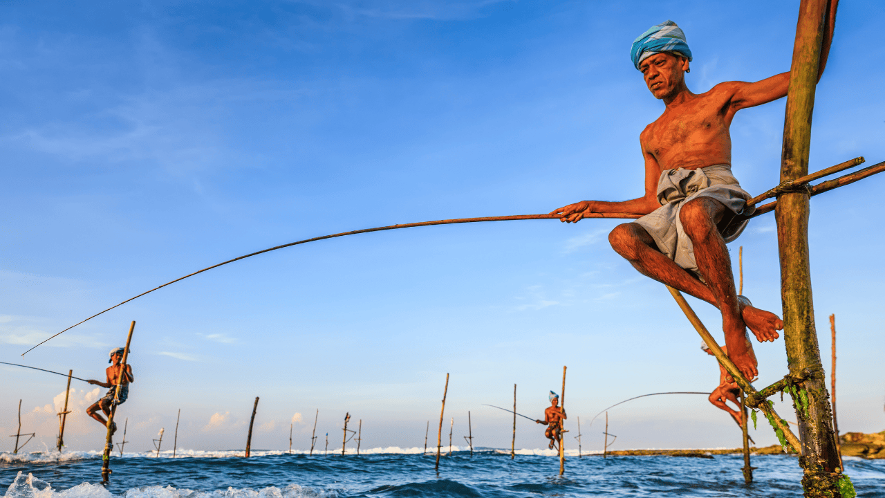 Untitled design (13)