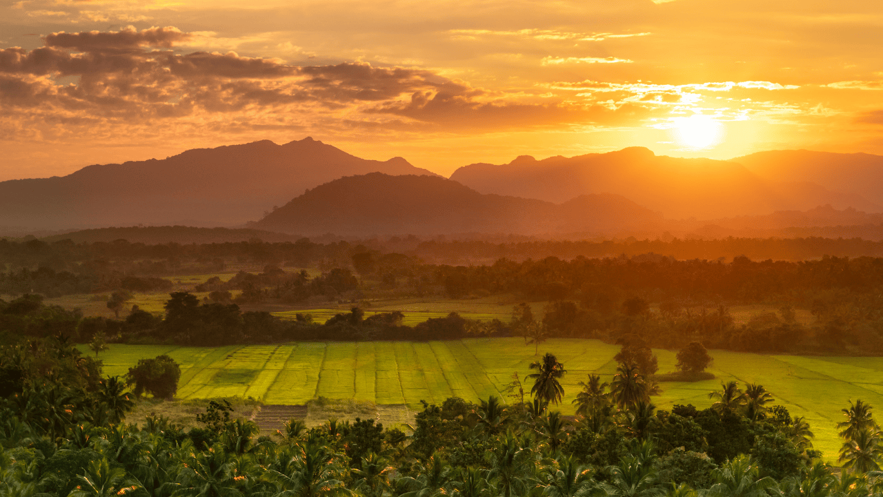 Untitled design (14)