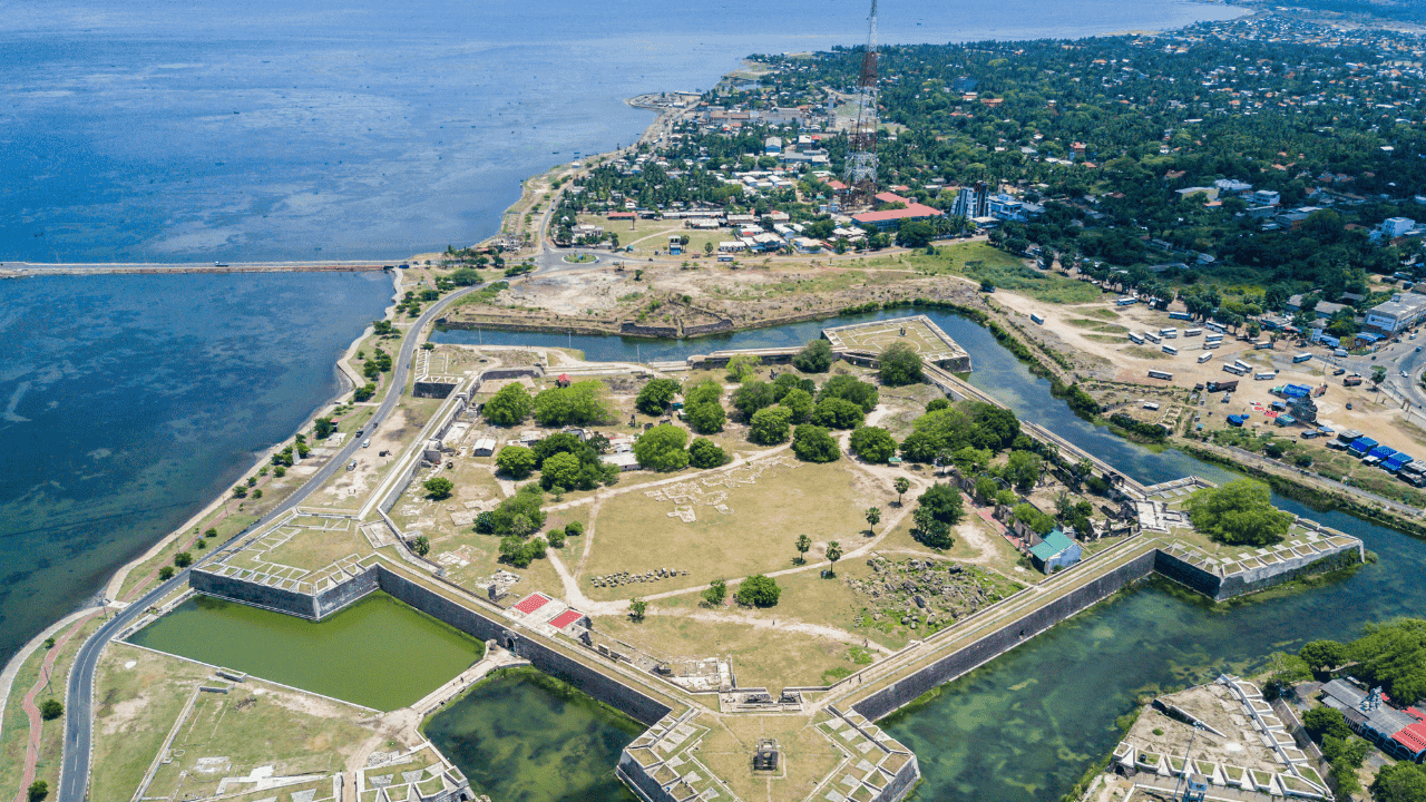 Untitled design (16)