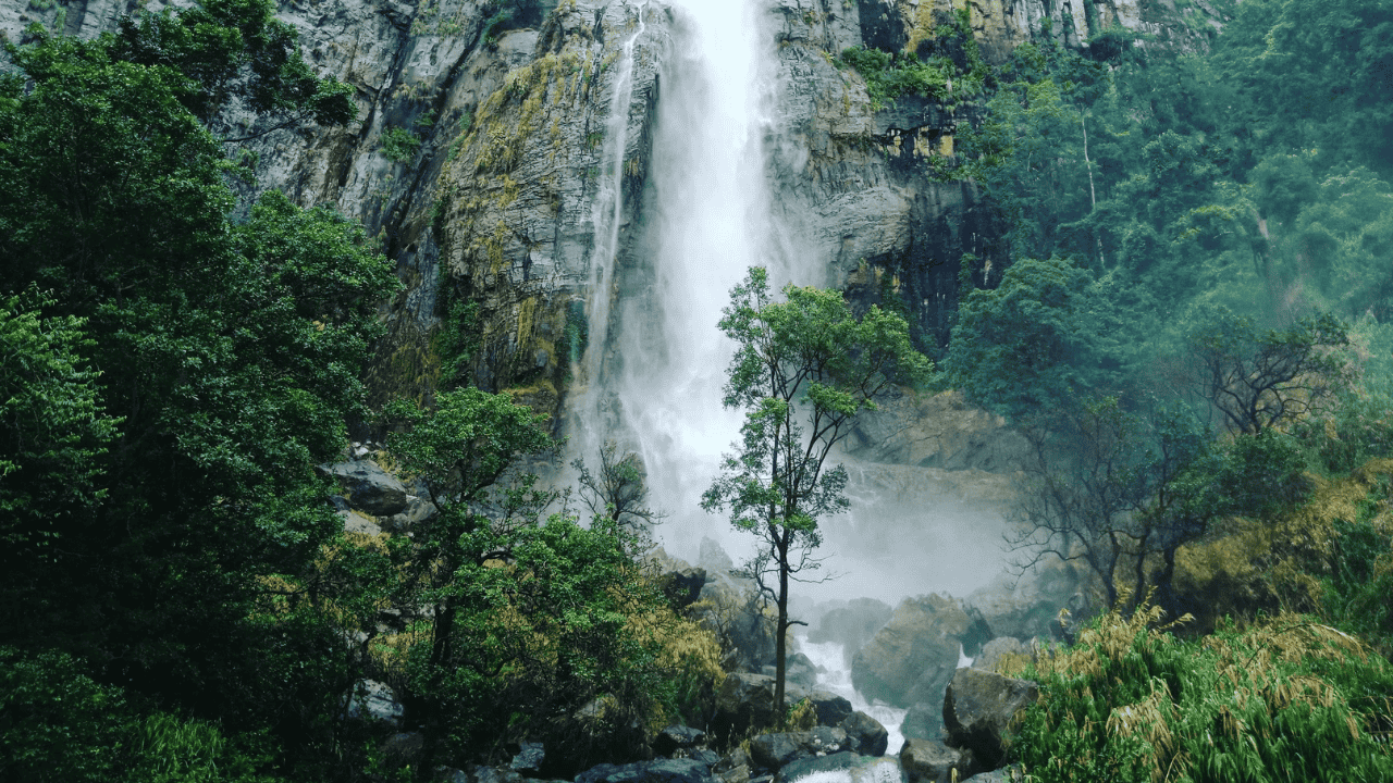 Untitled design (18)