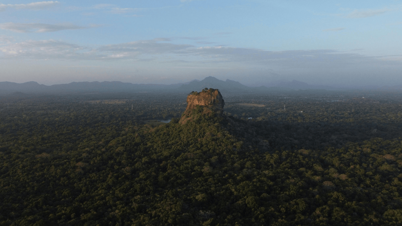 Untitled design (19)