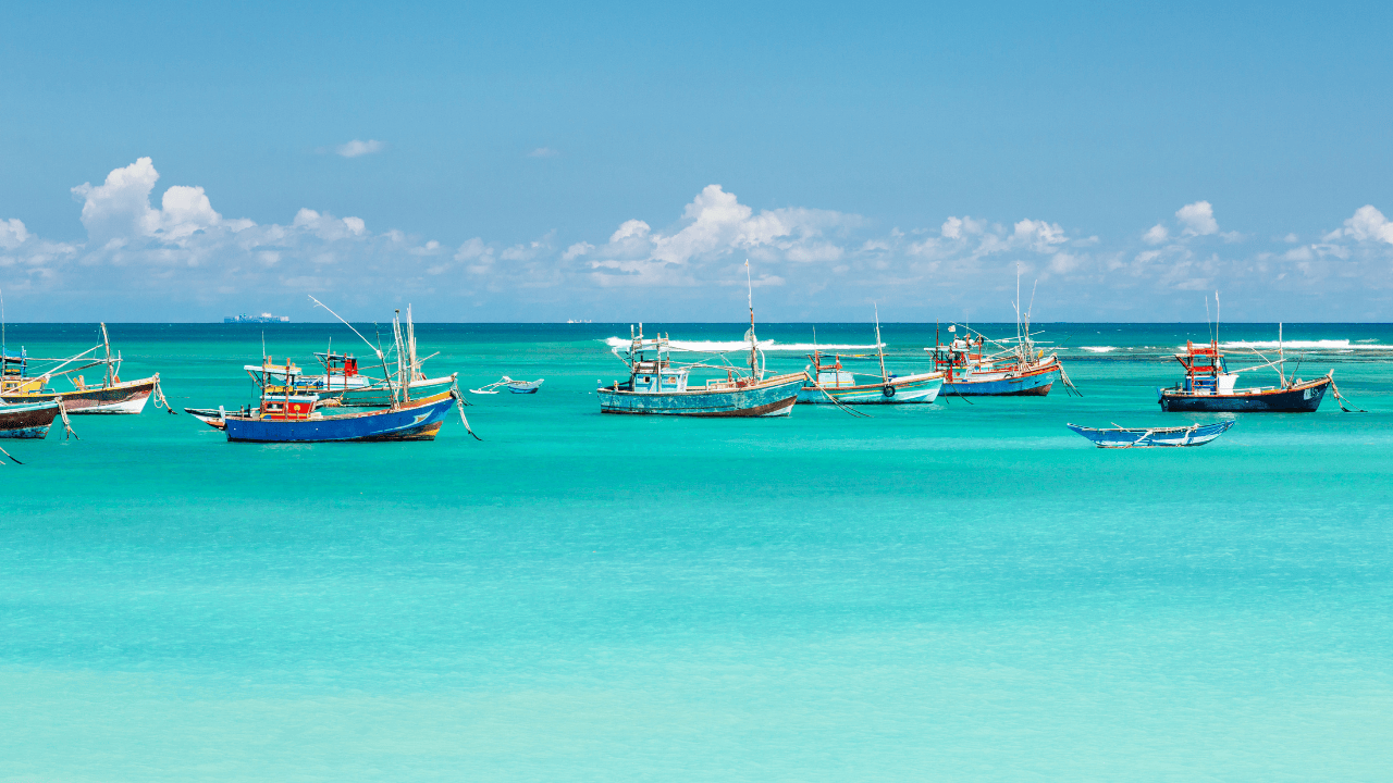 Negombo Fishery Harbor Sri Lanka