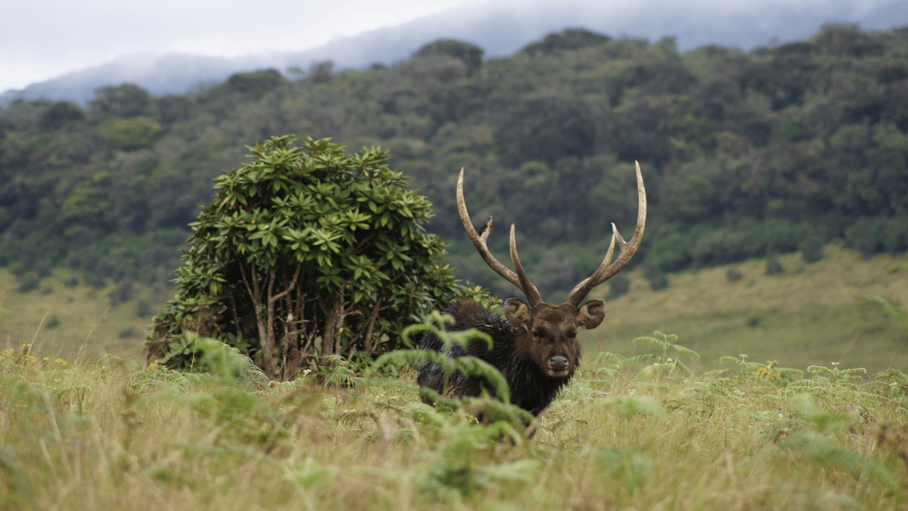 Untitled design (20)