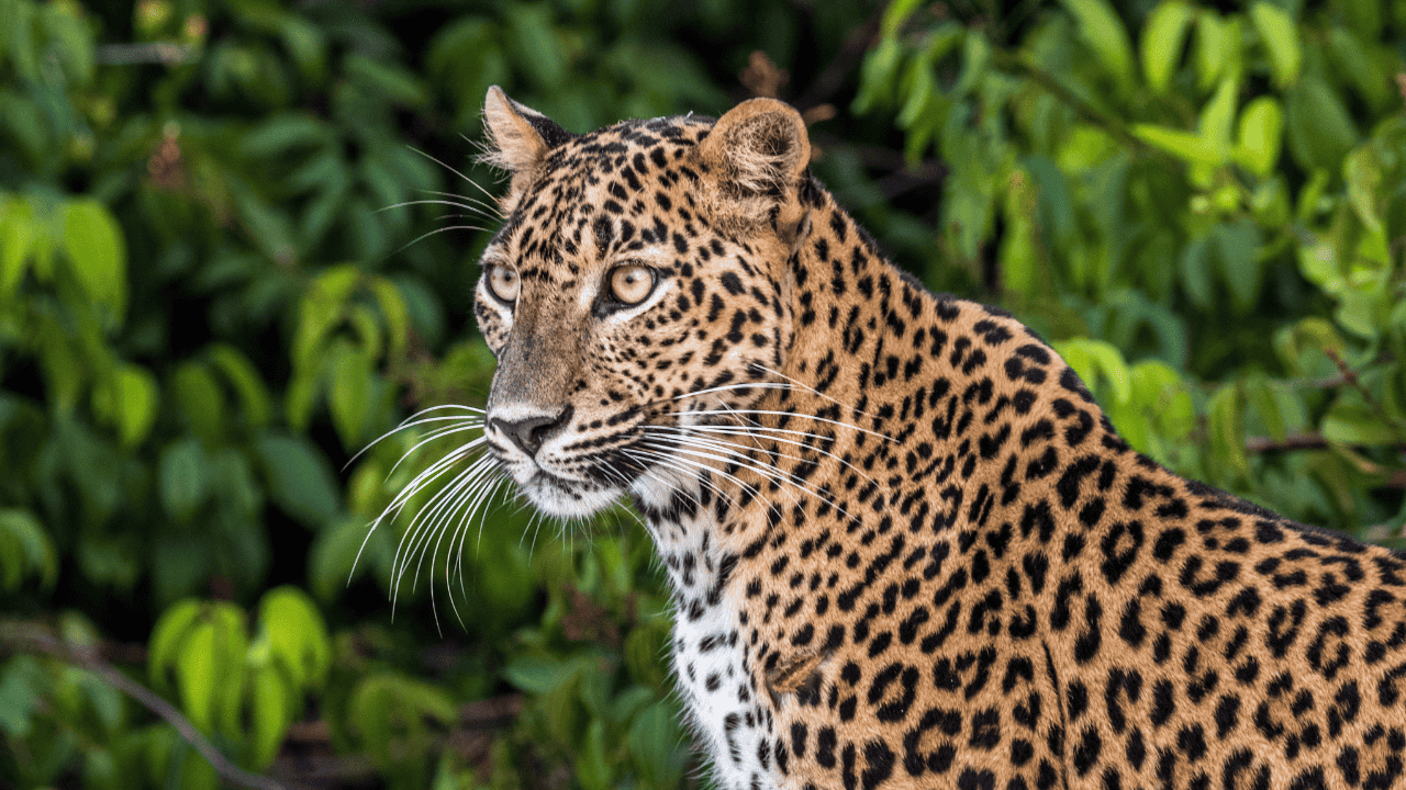 Untitled design (22)