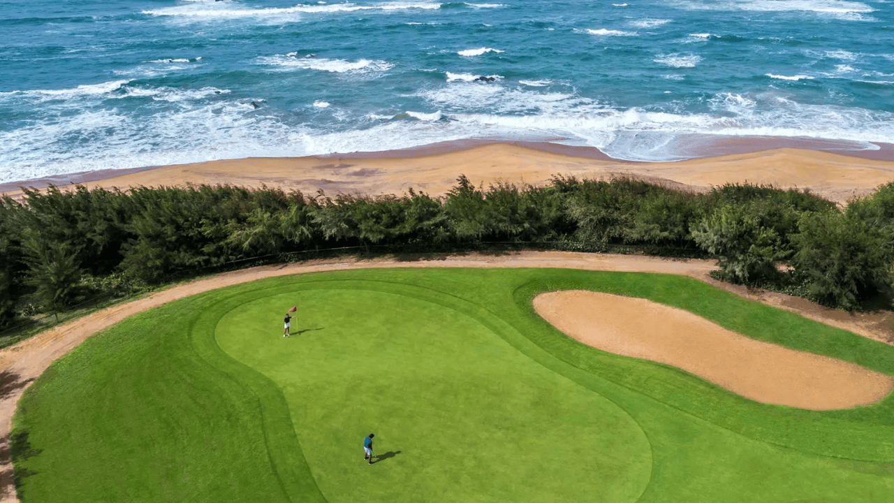 Untitled design (23)