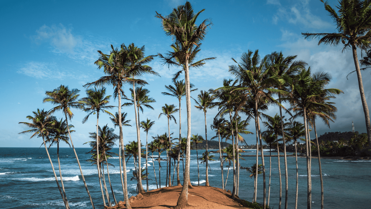 Untitled design (24)