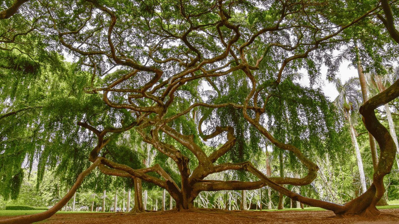 Untitled design (27)